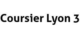 Coursier Lyon 3